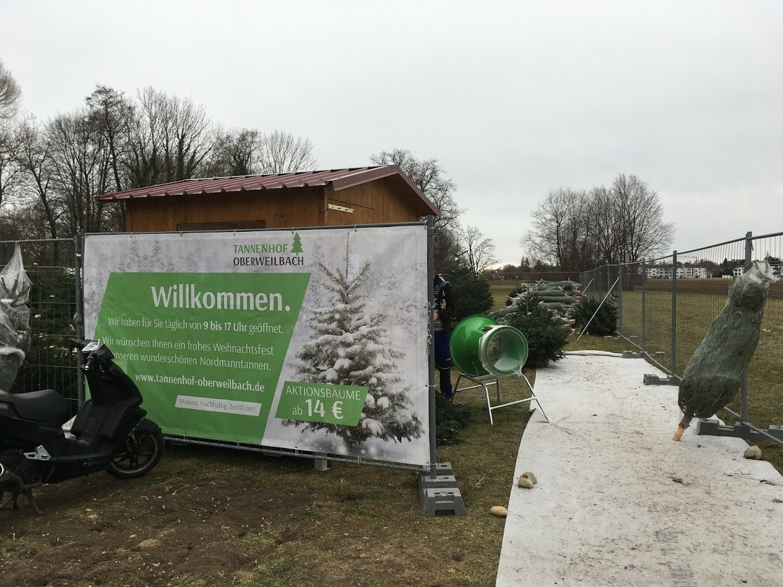 ドイツでクリスマスツリーを購入 ミュンヘンでprost